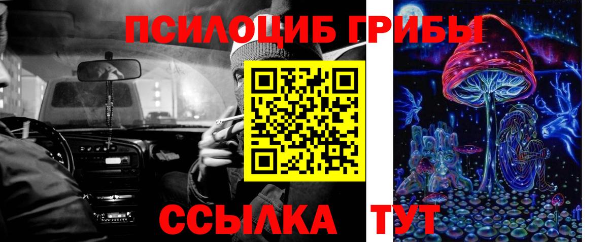 Псилоцибиновые грибы мицелий Котлас