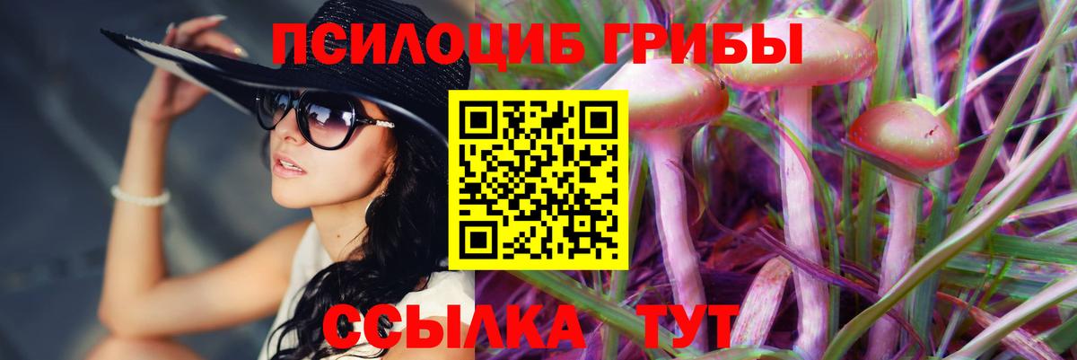 Псилоцибиновые грибы MAGIC MUSHROOMS  Вход с VPN  Галлюциногенные грибы мицелий  Котлас 